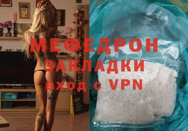 стаф Каменка