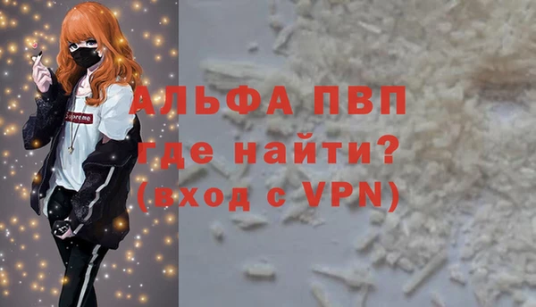 стаф Каменка