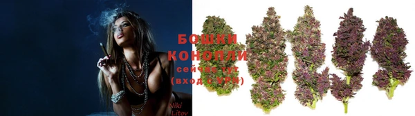 твердый Каменногорск