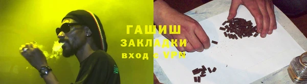 стаф Каменка