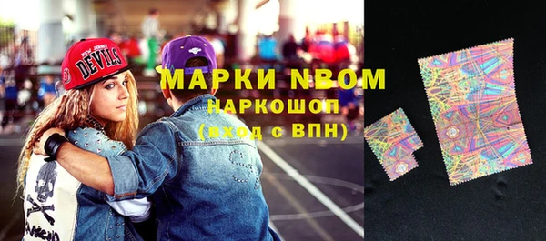 ПСИЛОЦИБИНОВЫЕ ГРИБЫ Инта