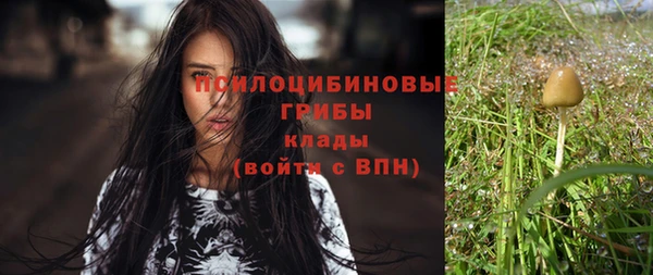 марки nbome Заполярный