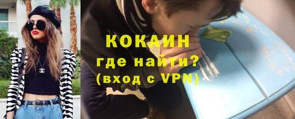 стаф Каменка