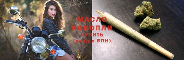 стаф Каменка