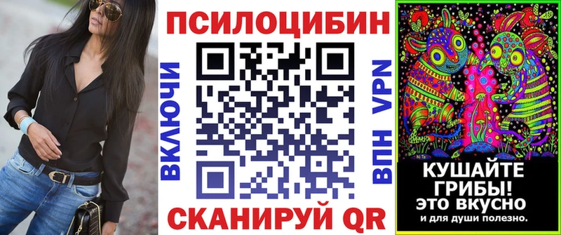 закладки  Калачинск  Галлюциногенные грибы прущие грибы 